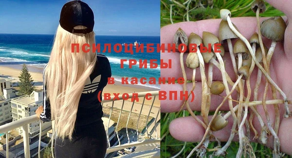 2c-b Каменногорск