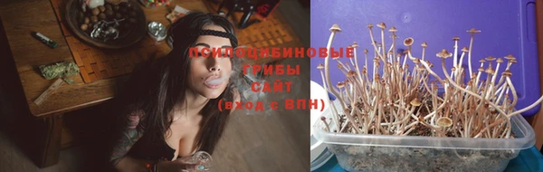 Альфа ПВП Каменск-Шахтинский