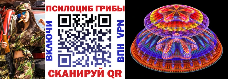 Галлюциногенные грибы Psilocybine cubensis Тайшет